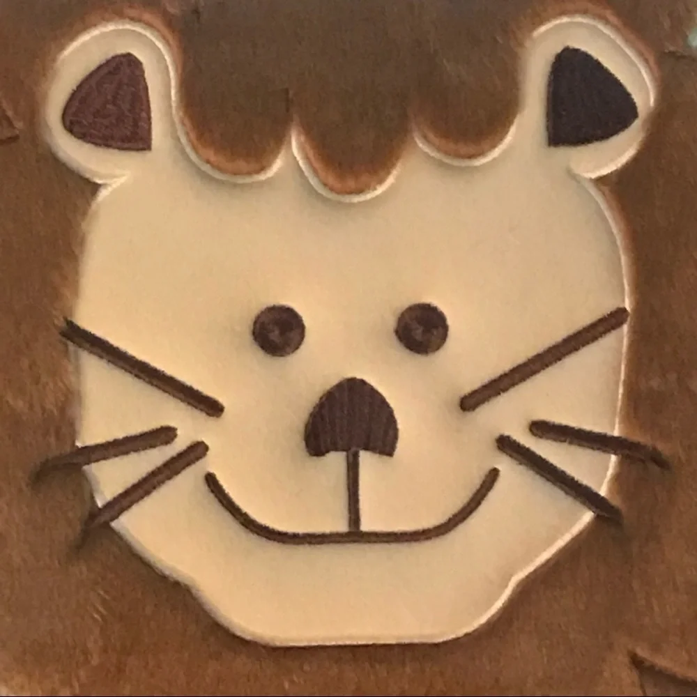 Studio Arts Kids Furry Lion Canvas Wall Art‎